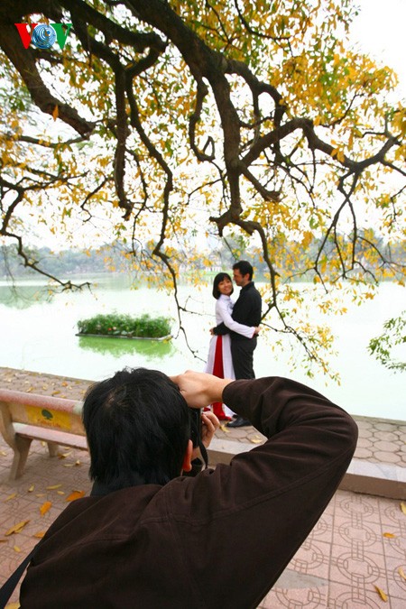 The ancient lecythidaceae trees by Hoan Kiem lake are shedding their leaves   - ảnh 13